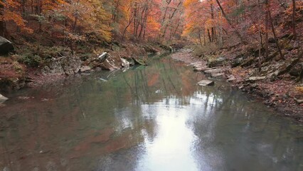 Wall Mural - Moving drone aerial over colorful autumn mountain creek with water reflection  