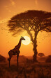 a group of giraffes walk in line and make a row in the savana africa in sunset with giant sun, super tele lense photograph, side angle, hyper realistic, dramatic light and shadows.