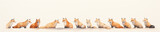 Fototapeta Dziecięca - A Minimal Watercolor Banner of a Row of Foxes on a White Background