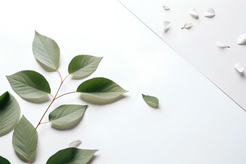 Sticker - leaves on the table made by midjeorney