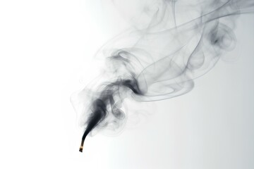 Canvas Print - smoke on black background made by midjeorney