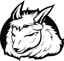 Llama Sleeping