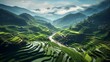 rice terraces generative ai