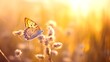 Blütenzauber: Schmetterlinge als Boten des Sommers