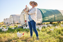 Farm, chicken and portrait of woman in field, countryside and nature for small business, growth and ecology. Agriculture, sustainable farming and person with bird for free range poultry production