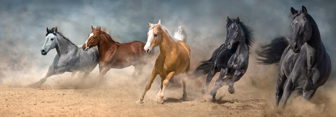 Wall Mural - horses galloping in dust