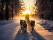 Husky sled dogs pulling a sled in arctic mountain wilderness. Shallow field of view.