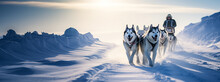 Husky Sled Dogs Pulling A Sled In Arctic Mountain Wilderness. Shallow Field Of View.