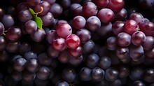 Fresh Ripe Grapes With Water Drops Background. Berries Backdrop, Beautiful Selection Of Freshly Picked Ripe Red Wine Grapes Background, Close-up Of Fresh Juicy Grapes Growing