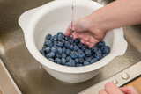 Fototapeta  - Dojrzałe owoce borówki amerykańskiej w trakcie mycia w misce pod bieżącą wodą w kuchni 