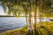 © Photofex - Midnight sun shining through birch trees at a lake in Finland