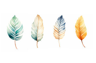 Wall Mural - Set of simple boho leaf image isolated. Watercolor style.