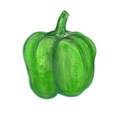 Wall Mural - Isolated whole raw green peppers in ingredients illustration