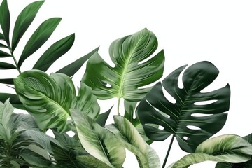  Palm leaves on the simple white background promo banner Created With Generative AI