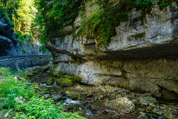 Wall Mural - Gorges de la Bourne