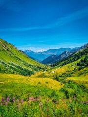 Wall Mural - Col du Glandon