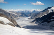 Aletschgletscher vom Jungfraujoch