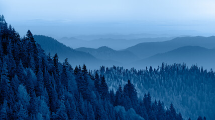 Wall Mural - Beautiful landscape with cascade blue mountains at the morning - View of wilderness mountains during foggy weather