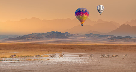 Hot air balloon flying over African savannah - Amazing Zebras running across the African savannah - Etosha National Park, Namibia