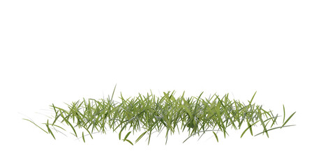 Fototapete - Bunches of grass on a transparent background. 3D rendering.	