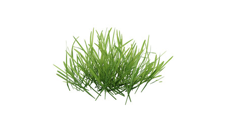 Sticker - Bunches of grass on a transparent background. 3D rendering.	