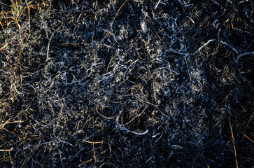 texture of net