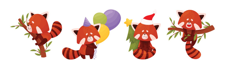 Wall Mural - cute red panda chinese animal character with striped tail vector set