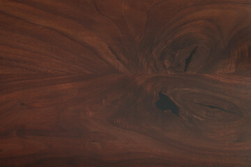 Wall Mural - High detailed texture of black walnut finished with organic oil