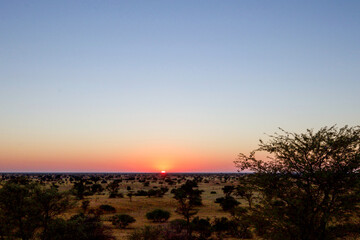 Wall Mural - Sunrise at Gharagab Camp, Kgalagadi Transfrontier Park, Kalahari, South Africa