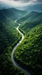 Top view of a beautiful highway in the middle of the green forest. A captivating aerial view of a scenic highway cutting through lush green forest.