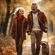 An elderly couple, an elderly man and woman walk in the autumn forest with a golden retriever dog and laugh merrily, an active lifestyle at any age, love in the family and for nature