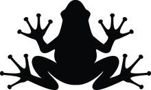 Frog Sitting Icon Vector Illustration