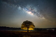 © Chaiyuth - Milky way with lonely old tree on the hill colorful night landscape Amazing astrophotography beautiful universe nature