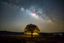 Milky Way With Lonely Old Tree On The Hill Colorful Night Landscape Amazing Astrophotography Beautiful Universe Nature