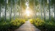 wooden path in birch forest with sun in the light Generative AI