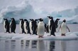 Penguins standing on top of an iceberg in the Antarctic
