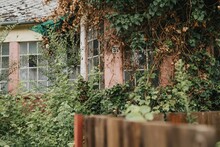 A Wooden Fence In Front Of An Old House With Many Overgrown Plants