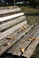 Canvas Print - Fallen leaves on the wooden bench in autumn