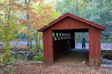 Poster - Autumn view of a small shelter surrounded by trees in autumn foliage