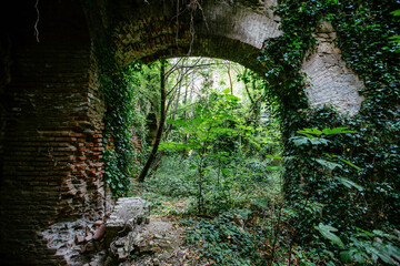 Old ruins of historical building overgrown by vegetation green post-apocalyptic concept