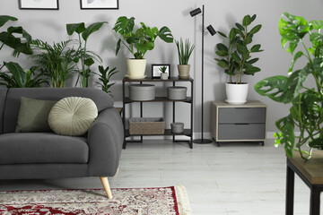 Poster - Cozy room interior with stylish furniture, houseplants and decor elements