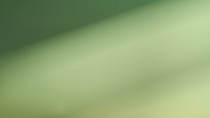 Poster - Green background with bokeh defocused lights and shadow. High quality photo