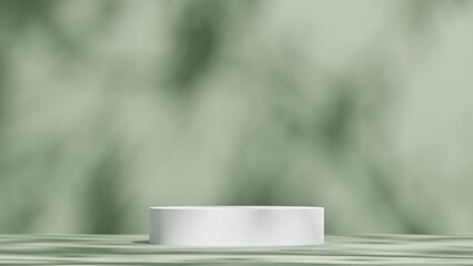 Poster - natural white podium display on green background and nature leaf shadow, luxury product mockup 3D Illustration