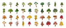 Set Of Trees Vector Image, Cartoon Tree Collection