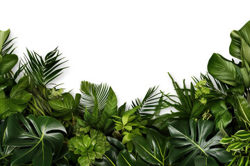 Naklejka na meble Many tropical varieties of leaves half the frame template background