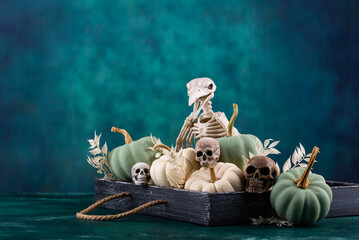Wall Mural - Elegant Halloween with white pumpkin