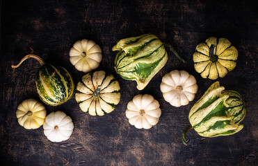 Wall Mural - Autumn fall background with pumpkins