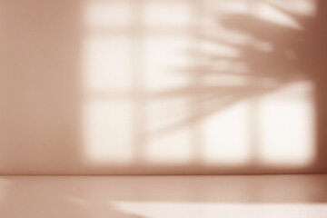 Poster - Empty room with palm leaf shadow