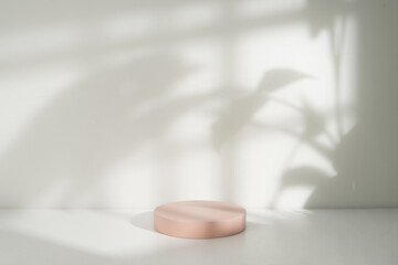 Poster - Cylinder pedestal podium with natural leaf and window shadow on the wall