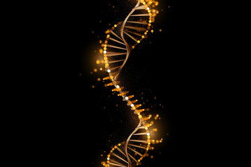 gold helix human dna structure